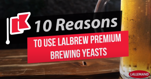 Top 10 Reasons to use LalBrew Premium Dry Yeasts