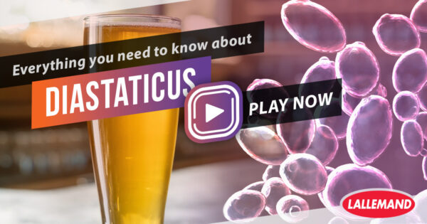 Online module - Everything you Need to Know About Diastaticus