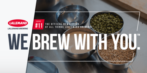 Lallemand Brewing Quarterly Newsletter - issue 11
