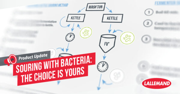 Acidifier avec des bactéries : possible en fermenteur ?