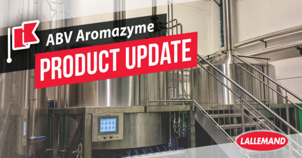 The exciting journey of working with breweries to launch an enzymatic solution