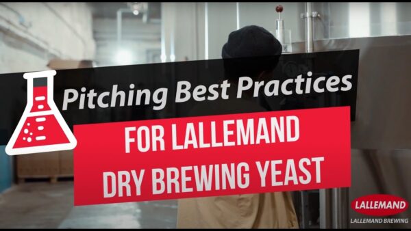 Pitching Best Practices for Lallemand Dry Brewing Yeast