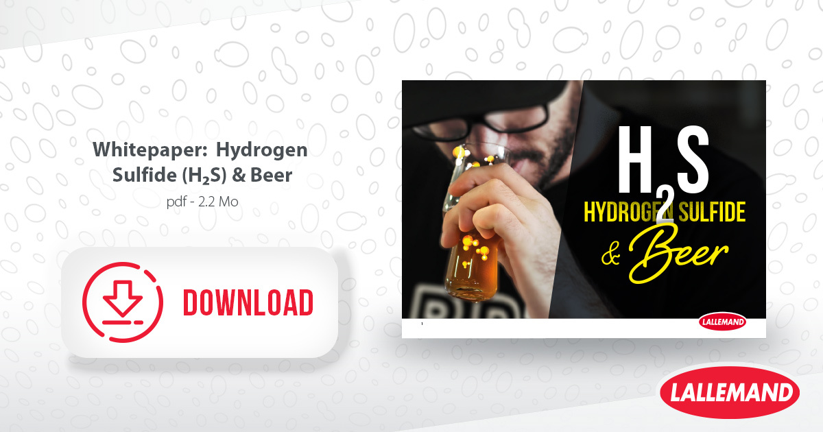 Download our H2S Technical Paper for free