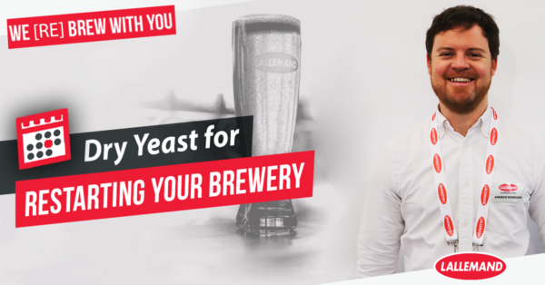 Dry yeast for restarting your brewery
