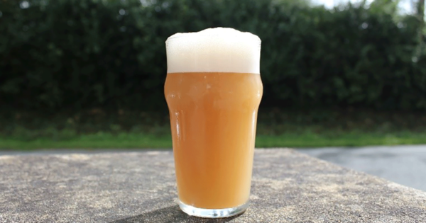The express brewing challenge: LalBrew Voss™ in the Crash Test Brew Lab 